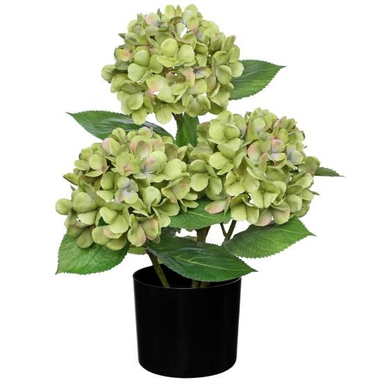 Büyük Saksılı Çiçek