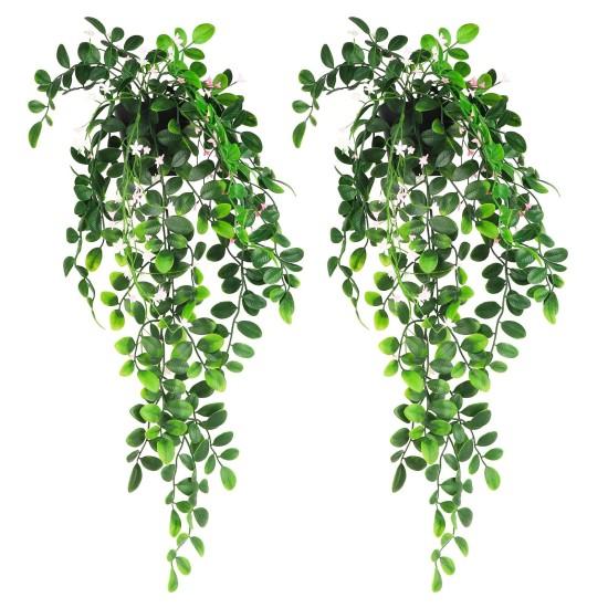 Büyük Saksılı Çiçek