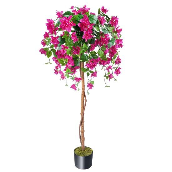 Büyük Saksılı Çiçek