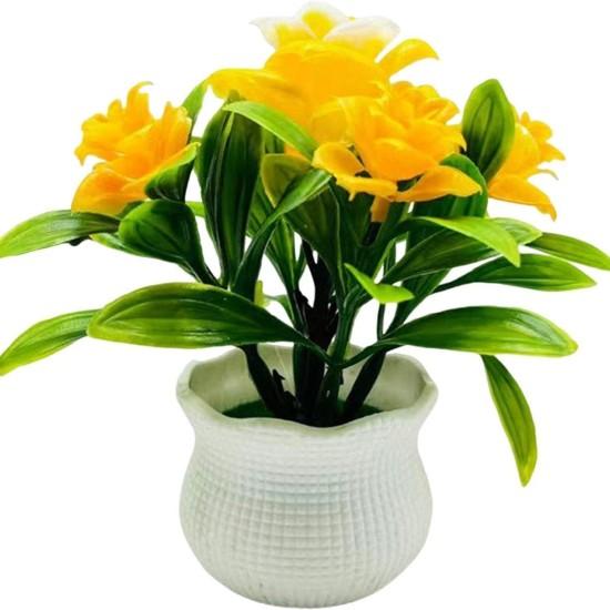 Büyük Saksılı Çiçek