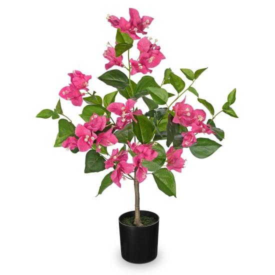 Büyük Saksılı Çiçek