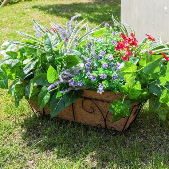 Büyük Yapraklı Çiçek