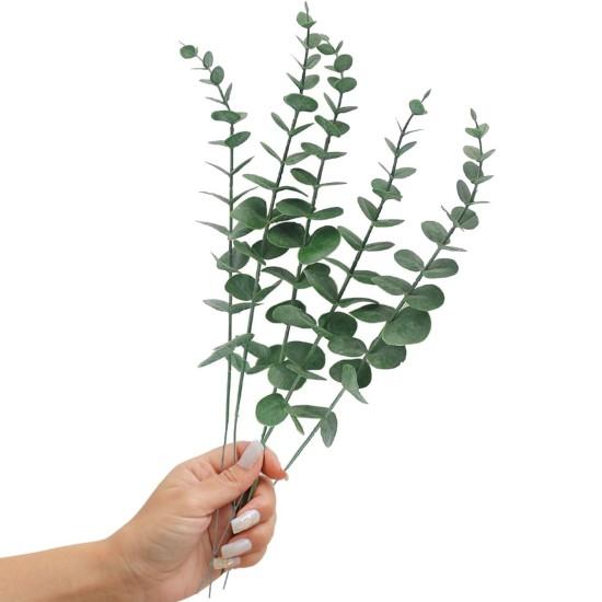 Büyük Yapraklı Çiçek