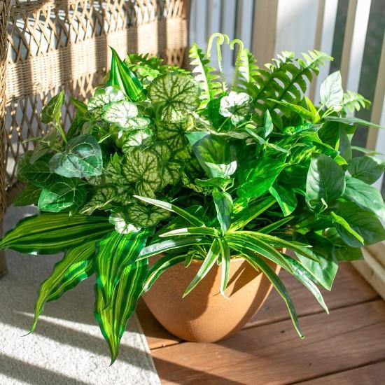 Büyük Yapraklı Çiçek