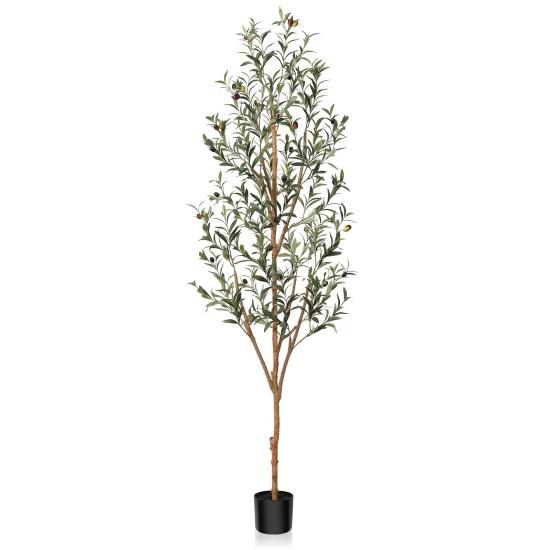 Dekor Ağaçlar