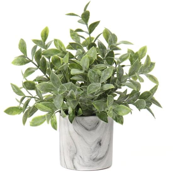 Dekoratif Saksılı Çiçek