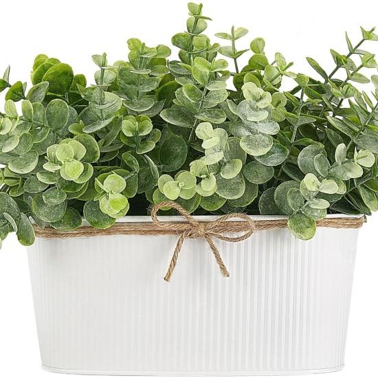 Dekoratif Saksılı Çiçek