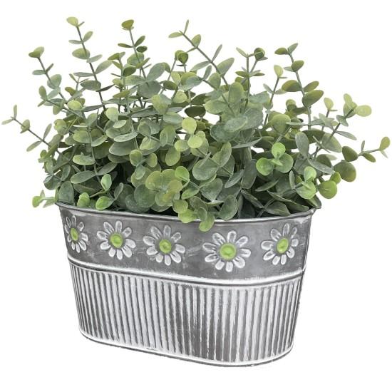 Dekoratif Saksılı Çiçek