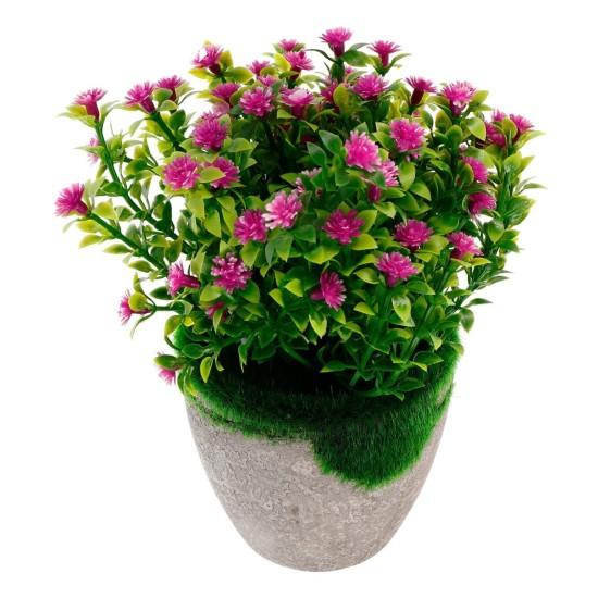 Dekoratif Saksılı Çiçek