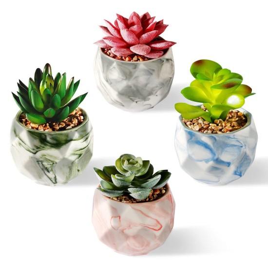 Dekoratif Saksılı Çiçek