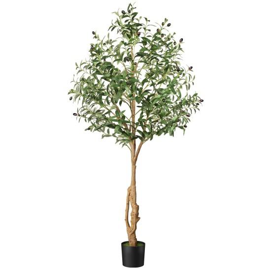 Dekoratif Zeytin Ağacı