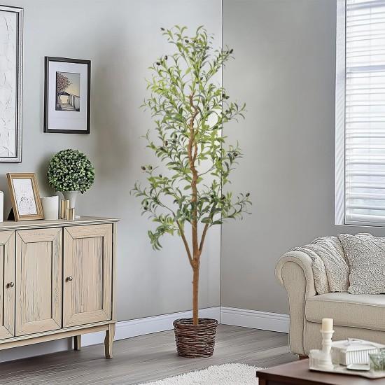 Dekoratif Zeytin Ağacı