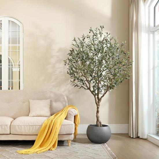 Dekoratif Zeytin Ağacı