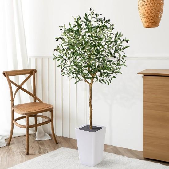 Dekoratif Zeytin Ağacı