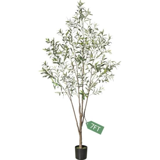 Dekoratif Zeytin Ağacı