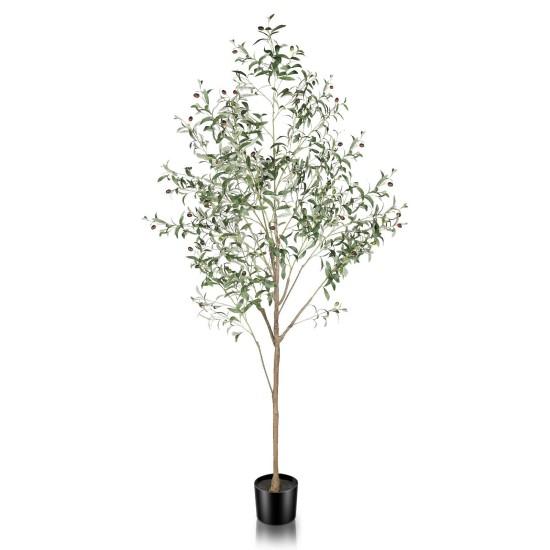 Dekoratif Zeytin Ağacı