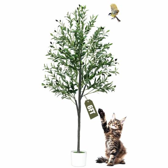 Dekoratif Zeytin Ağacı