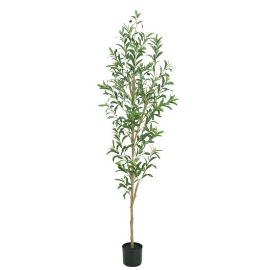 Dekoratif Zeytin Ağacı