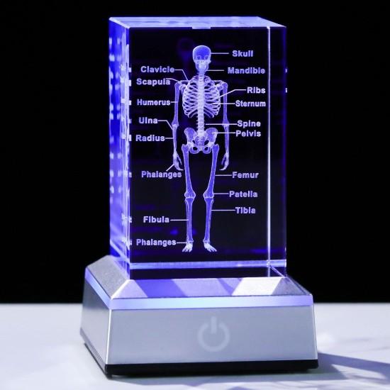 Doktor Biblosu