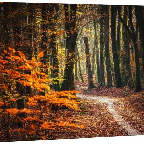 Dökülen Yapraklar Tablo