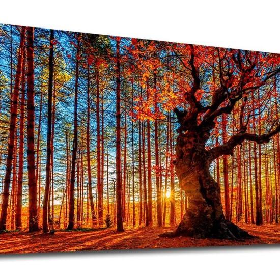 Dökülen Yapraklar Tablo