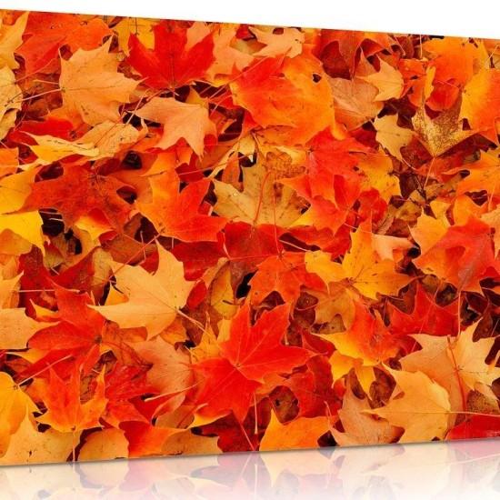 Dökülen Yapraklar Tablo
