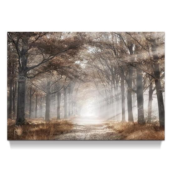 Dökülen Yapraklar Tablo