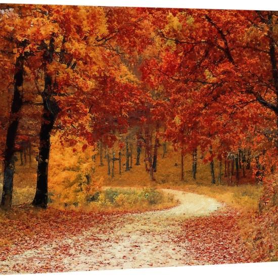 Dökülen Yapraklar Tablo