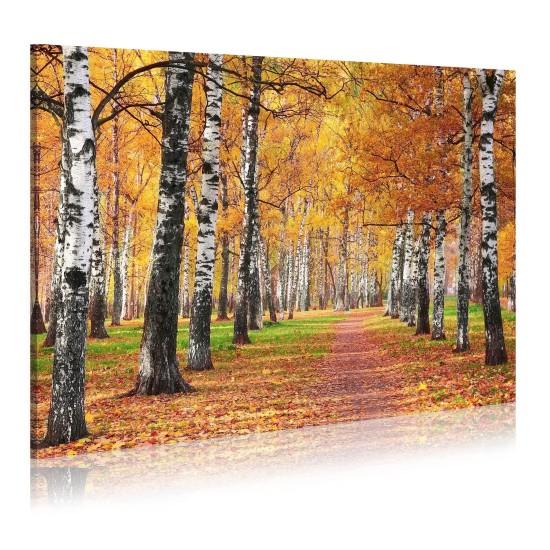 Dökülen Yapraklar Tablo