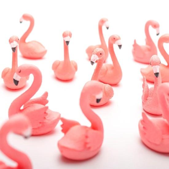 Flamingo Biblo