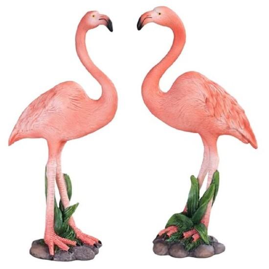 Flamingo Biblo