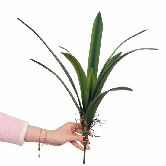 Geniş Yapraklı Çiçekler