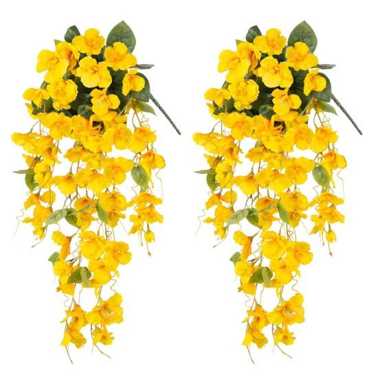 Geniş Yapraklı Çiçekler