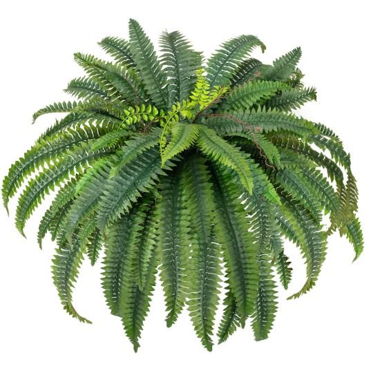 Geniş Yapraklı Çiçekler