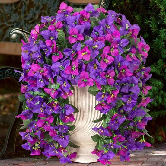 Geniş Yapraklı Çiçekler