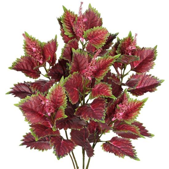 Geniş Yapraklı Çiçekler