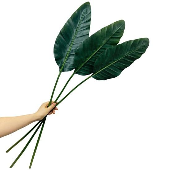 Geniş Yapraklı Çiçekler