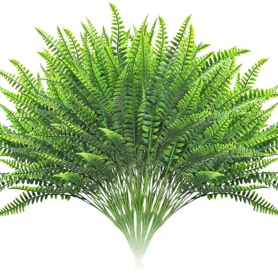 Geniş Yapraklı Çiçekler