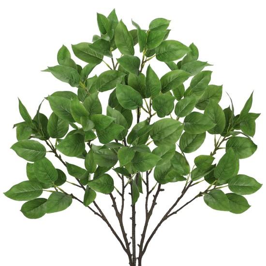 Geniş Yapraklı Çiçekler