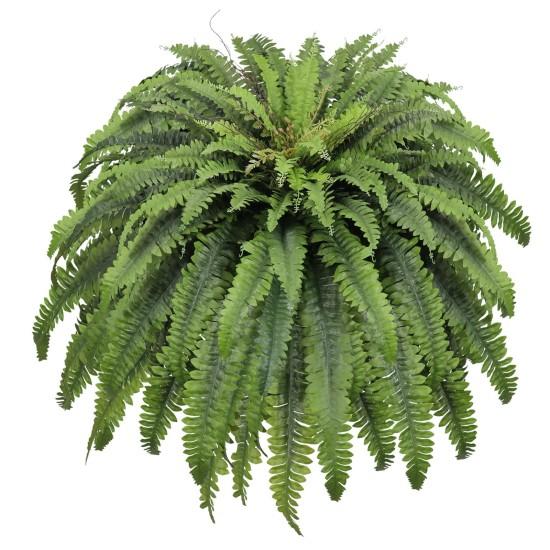 Geniş Yapraklı Çiçekler