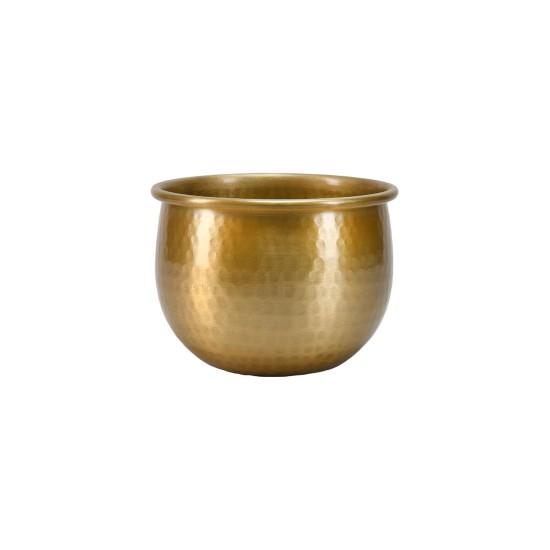 Gold Çiçeklik