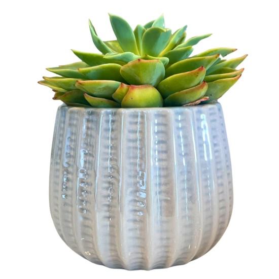 Gri Salon Aksesuarları