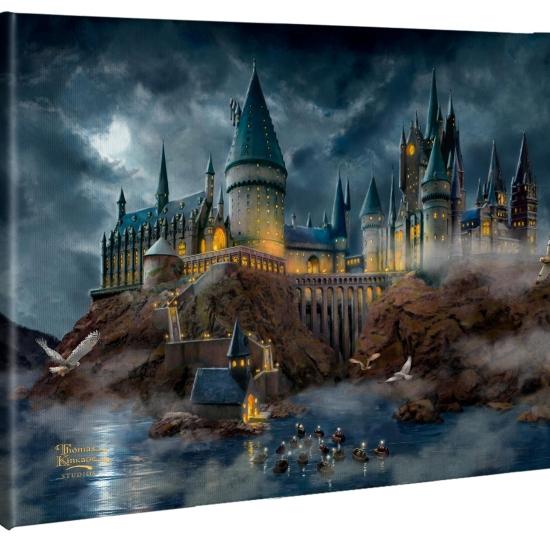 Harry Potter Tablo