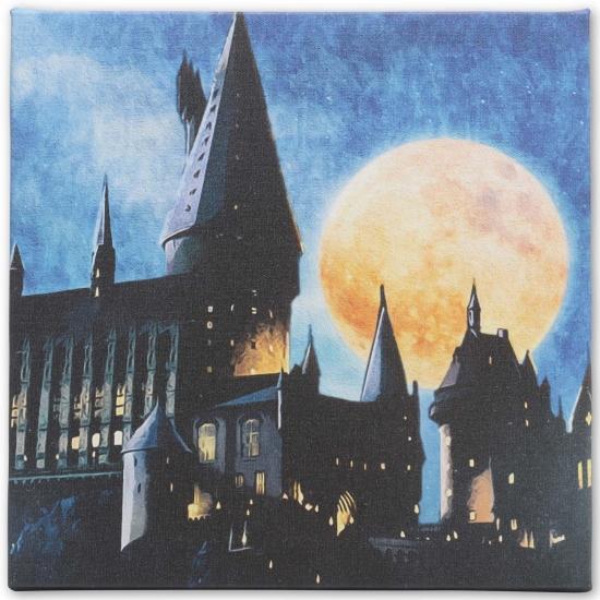 Harry Potter Tablo