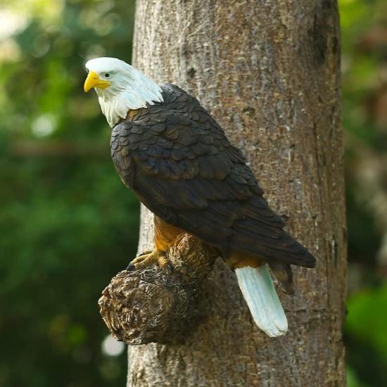 Kartal Kafatası