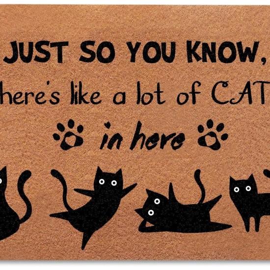 Kedi Sevmeyen Giremez Paspas