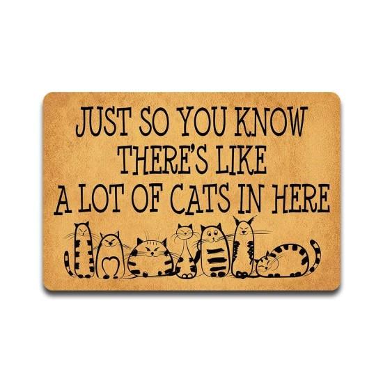 Kedi Sevmeyen Giremez Paspas