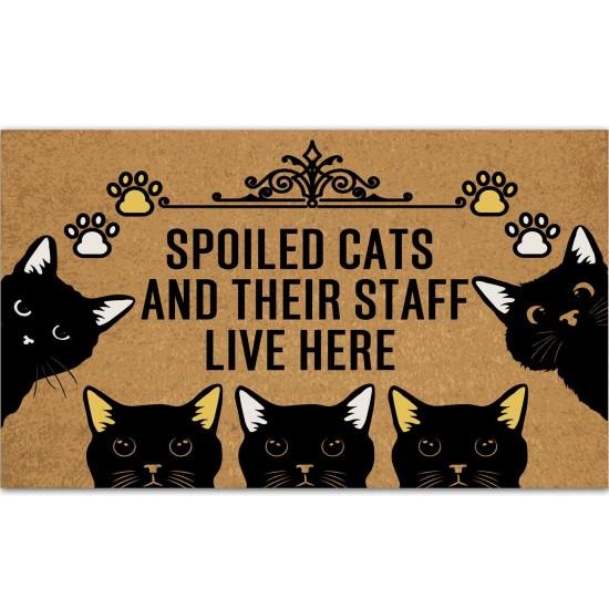 Kedi Sevmeyen Giremez Paspas