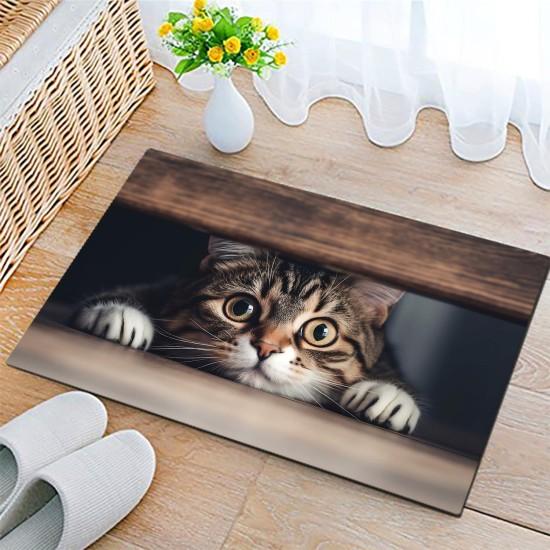 Kedili Kapı Önü Paspası