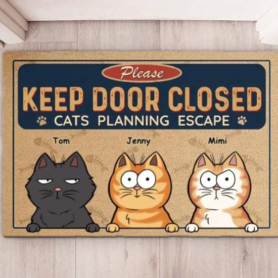 Kedili Kapı Önü Paspası